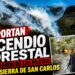 Reportan incendio forestal en el Cañón de Las Piletas en la Sierra de San Carlos