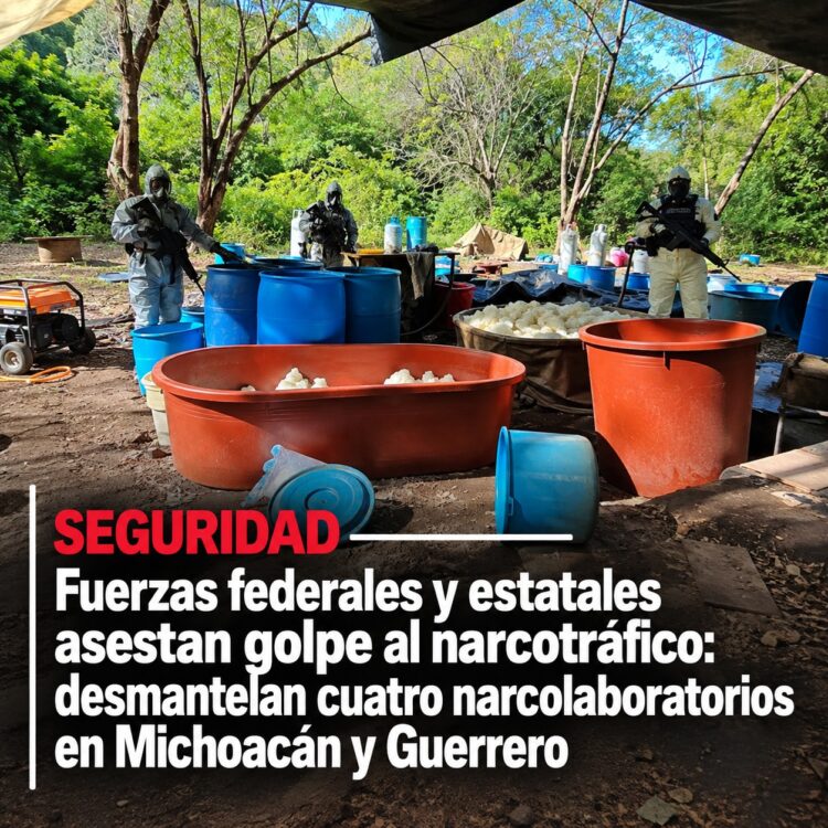 Fuerzas federales y estatales asestan golpe al narcotráfico: desmantelan cuatro narcolaboratorios en Michoacán y Guerrero