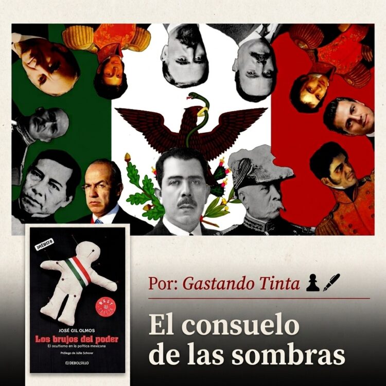 El consuelo de las sombras