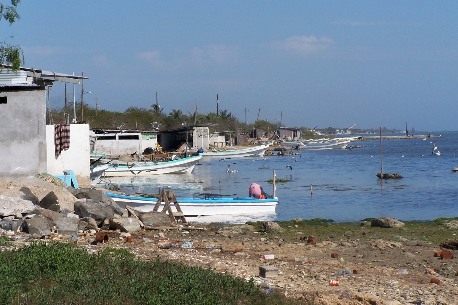 Lanchas de pesca varadas en la orilla, frente a viviendas de madera y lámina, antes del inicio de la temporada de camarón.